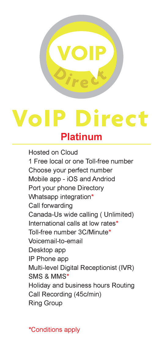 VoIP-Platinum Plan /user/mo