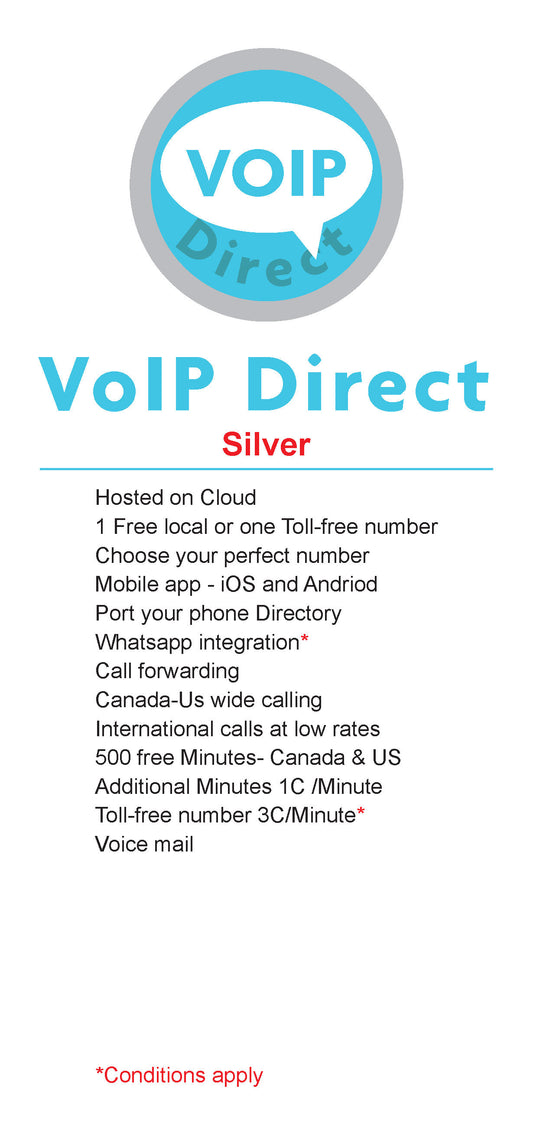 VoIP-Silver Plan /user/mo